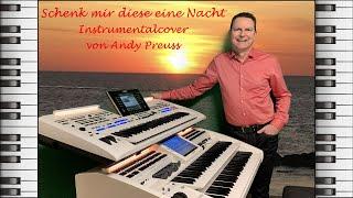 Schenk mir diese eine Nacht ️ Andy Preuss an der Wersi Orgel  Instrumental Cover