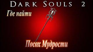 Где найти Посох Мудрости Dark Souls 2 - Дарк Соулс 2 ГАЙД Лучший Катализатор Магии