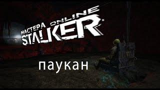 Stalker Online Паукан обыкновенный