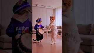 Cute cat dance #cute #cat #dance #fyp #foryou #dance #viral #viralvideo