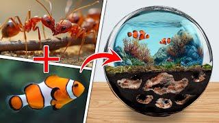 Ants vs Fish  The Ultimate Survival Showdown! ANTTREK