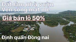 Ngộp lắm rồi! được giá bán luôn đất làm nhà vườn nghỉ dưỡng ở định quán đồng nai.