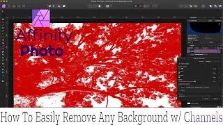 How To Easily Create The Perfect Selection And Cut Out The Most Complex Backgrounds