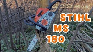 STIHL - MS 180 робота в лісі