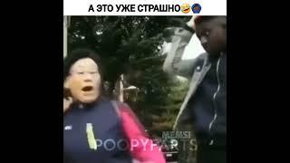 Это уже пугает‍️ #юмор #приколы #напугал #испугался #черный