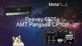 AMT Panagaea CP100 + Peavey 6505+ Metall