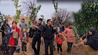 Mahmoud and the grandma's family plant trees at Perk farm