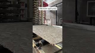 OSB multi-open press line, hot press plate, conveyor roller etc spare parts for your choose #wood