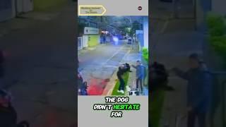 Active protection #Viral #greatest #hero #Robber #respect