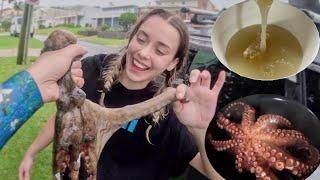 Catch & Cook WILD OCTOPUS & SAMGYEOPSAL | Camping Life In Australia | Outdoor MUKBANG