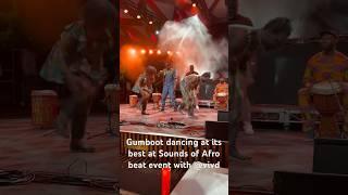 Lucky African Dance . Gumboot dancing at Sounds of Afro beats event with Vivid 2024. #vivid #gumboot