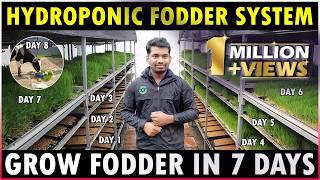 Hydroponic Fodder System | Easiest Method to Grow Hydroponic Fodder at Home | Green Fodder Farming