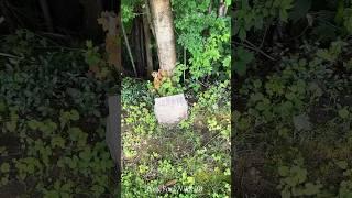 Pushy Ghost Samuel #shorts #reels #explore #paranormal #ghost #happy #death