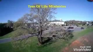 Welcome to Tree Of Life Ministries!