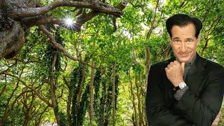A Mission to Measure the Forests
