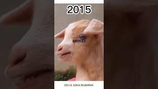 Subscribe for 2024 | Happy Bakrid 2023