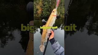We Caught a Fish on the World’s Biggest Lure 