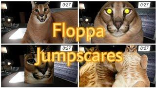 Fanmade Floppa Jumpscares (Five Nights at floppa)