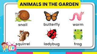 Garden Animals for Babies and Toddlers  Learn Simple English Vocabulary Words