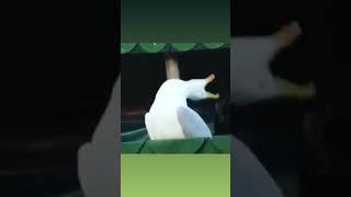 тугади хаёт