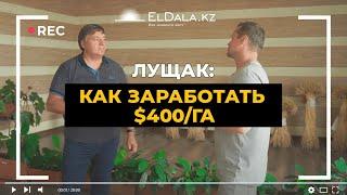 На чем нельзя экономить фермеру в Казахстане | Павел Лущак | ElDala.kz