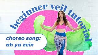 learn a belly dance veil routine with me FAST! (song: ah ya zein) #bellydancetutorial