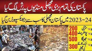 Fish Market in Pakistan || Pakistan largest exporter on fish in 2023-24