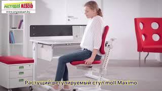 Регулируемый растущий стул moll Maximo для детей и подростков