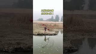 best cast net for fishing #fishing #fish #net #fishinggear