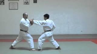 Jitte Bunkai | Karate for the elite athlete | JKA Karate | Shotokan | WKF | Learn Karate