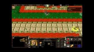 Warcraft 3 Ты идиот? - 2 уровень