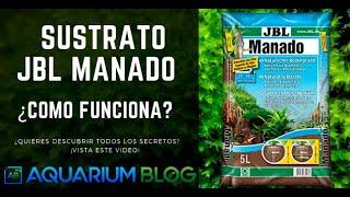  SUSTRATO ACUARIO JBL MANADO ¿CÓMO PREPARAR, USAR Y LAVAR? TODO LO QUE DEBES SABER