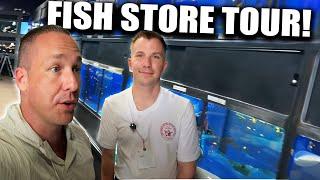 This fish store had EVERYTHING!!! Aquarium tour with the king of DIY