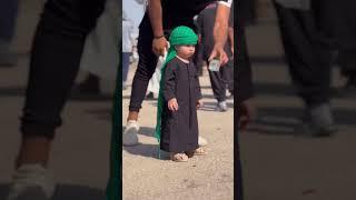 Arbaeen Walk Najaf To Karbala 2023 | #arbaeen #arbaeenstatus #arbaeenwalk