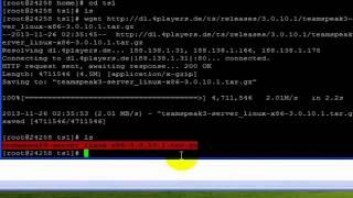 TeamSpeak 3 Kurulumu Linux - TsDuragi.com