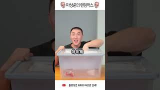 눈 가리고 뱀 만지기