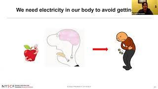 Virtual Classroom: How Electricity Helps Your Body Function