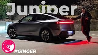 Tesla Model Y Juniper | una NOTTE con questa TESLA 2025