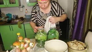 Ассорти Наташа лучший рецепт 