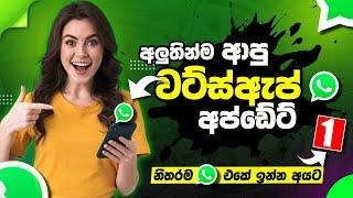 WhatsApp New Update 2023 | WhatsApp HD Quality Photo Upload | Anjana Academy