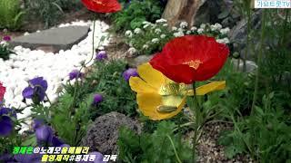 정재은@노래  모음 메들리 4K  광고없는방송  가요트롯TV홍재종  감독 미디어 주노 성남지사