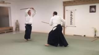 Aikido Kokikai
