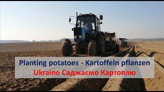 Саджаємо Картоплю Україна трактор МТЗ  |  Planting potatoes Ukraine MTZ tractor Kartoffeln pflanzen