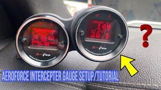 Aeroforce Interceptor Gauge setup/turorial