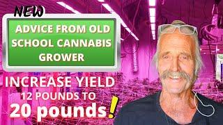 HOW TO INCREASE YOUR YIELD IN FLOWER | New Advice from an Old School Cannabis Grower | Episode 3