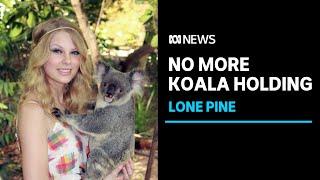 Iconic wildlife sanctuary ends koala-holding experience | ABC News