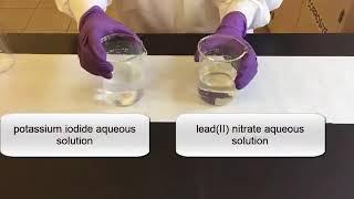 Precipitation Reactions and Solubility Rules