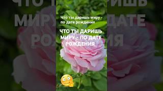 Что ты даришь миру по дате рождения  / Эзотерика Нумерология Гороскоп Знаки Зодиака