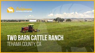 Two Barn Cattle Ranch | Tehama County, CA