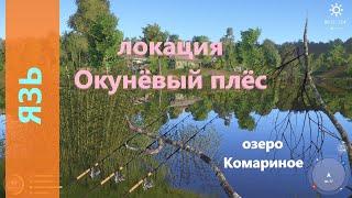 Русская рыбалка 4 - озеро Комариное - Язь в яме у базы